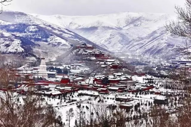 山西麻豆回家视频区一区二赴佛教圣地五台山为您祈福
